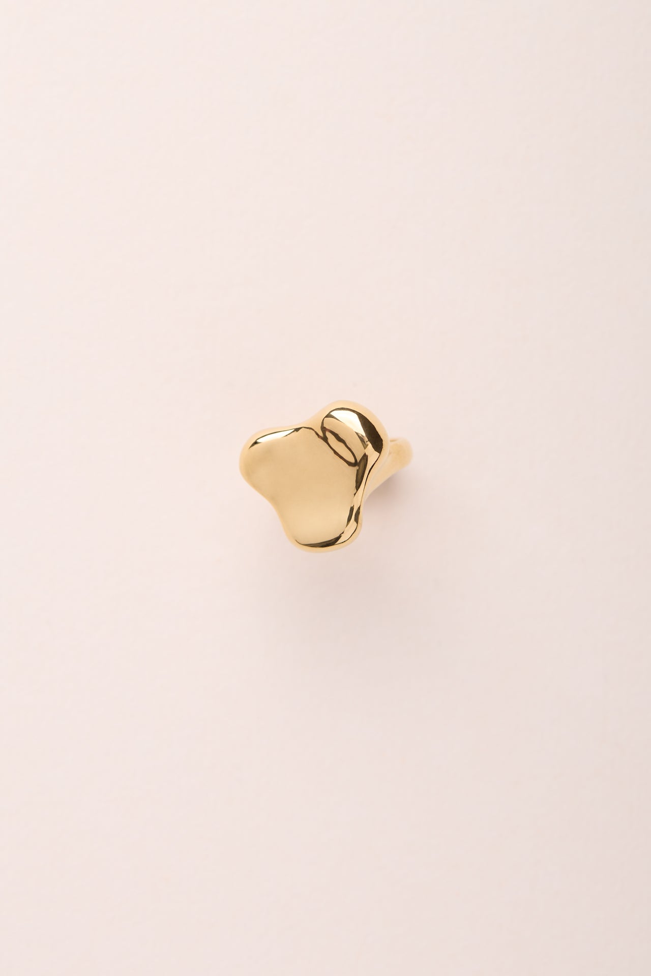 LOOP. THE RING